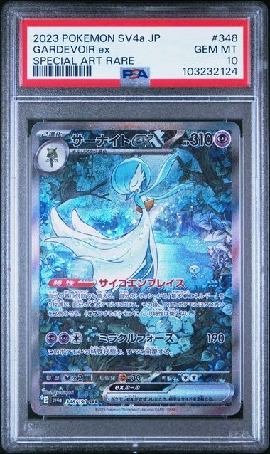 45954605