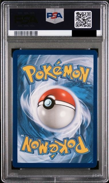 45948713